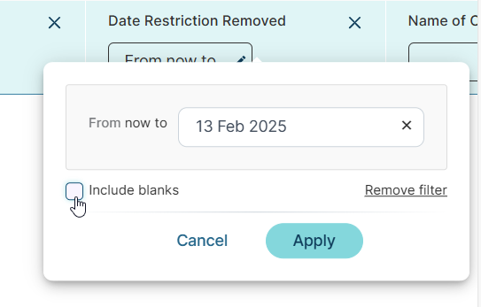 Ruleguard - Include blanks on Data Library Date Time Filters